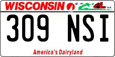 WI license plate 309NSI