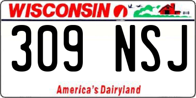 WI license plate 309NSJ