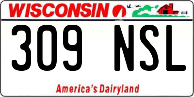 WI license plate 309NSL