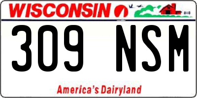 WI license plate 309NSM