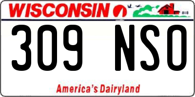 WI license plate 309NSO