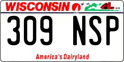 WI license plate 309NSP