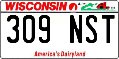 WI license plate 309NST