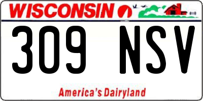 WI license plate 309NSV
