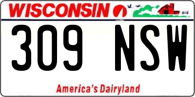 WI license plate 309NSW