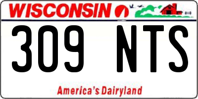 WI license plate 309NTS