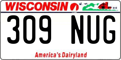 WI license plate 309NUG