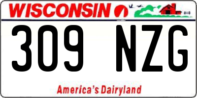 WI license plate 309NZG