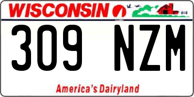 WI license plate 309NZM
