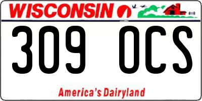 WI license plate 309OCS