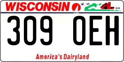 WI license plate 309OEH