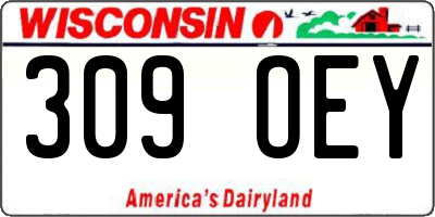 WI license plate 309OEY