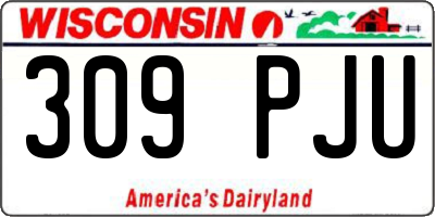 WI license plate 309PJU