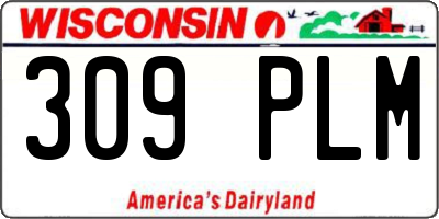 WI license plate 309PLM