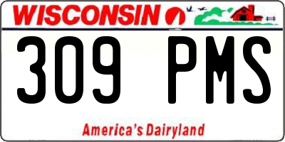 WI license plate 309PMS