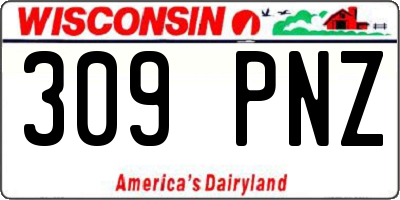 WI license plate 309PNZ
