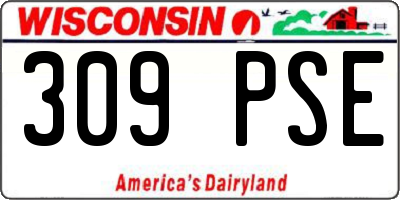 WI license plate 309PSE
