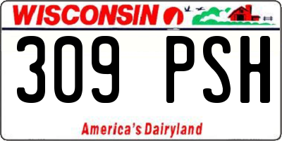 WI license plate 309PSH
