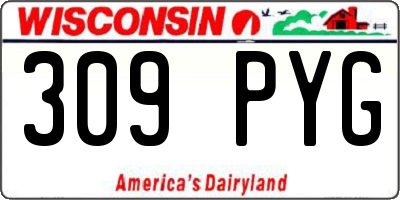 WI license plate 309PYG