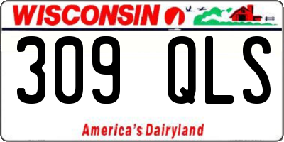 WI license plate 309QLS
