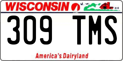 WI license plate 309TMS