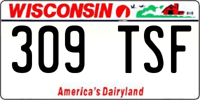 WI license plate 309TSF
