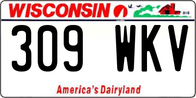 WI license plate 309WKV