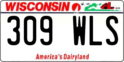 WI license plate 309WLS