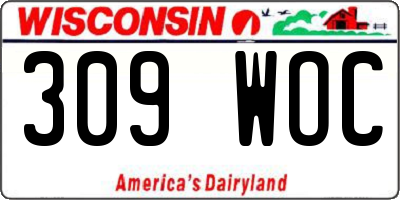 WI license plate 309WOC