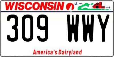 WI license plate 309WWY