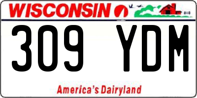 WI license plate 309YDM