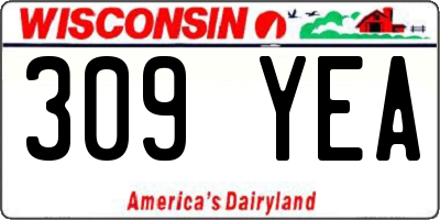 WI license plate 309YEA