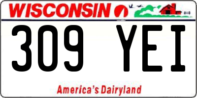 WI license plate 309YEI
