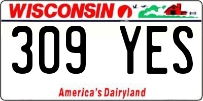 WI license plate 309YES
