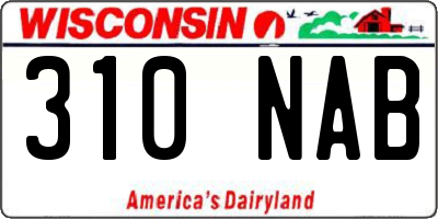 WI license plate 310NAB