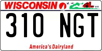 WI license plate 310NGT
