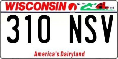 WI license plate 310NSV