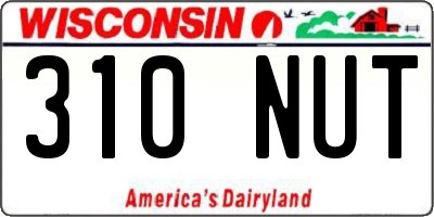 WI license plate 310NUT