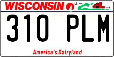 WI license plate 310PLM
