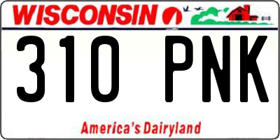 WI license plate 310PNK
