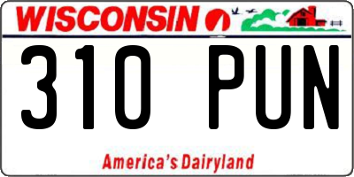 WI license plate 310PUN