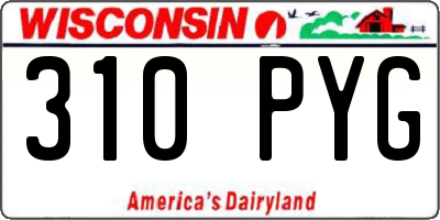 WI license plate 310PYG