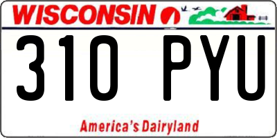 WI license plate 310PYU