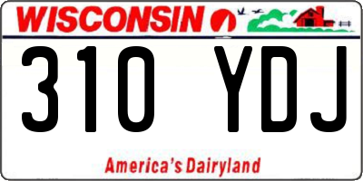 WI license plate 310YDJ
