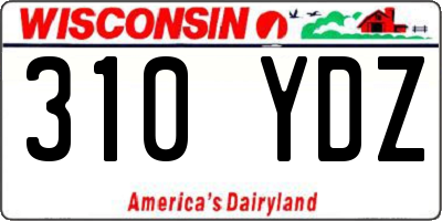 WI license plate 310YDZ