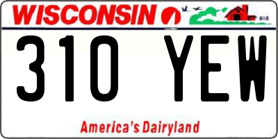 WI license plate 310YEW