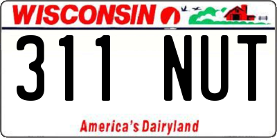 WI license plate 311NUT