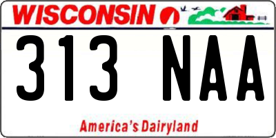 WI license plate 313NAA