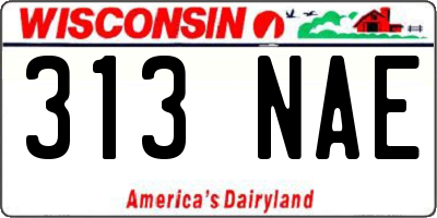 WI license plate 313NAE