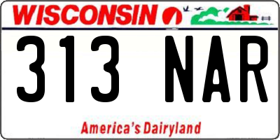 WI license plate 313NAR